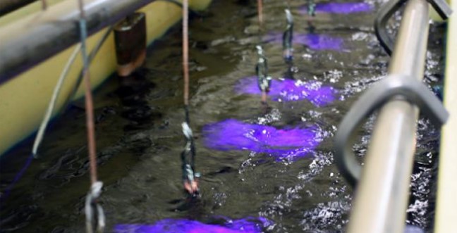 Electroplating Electroplating